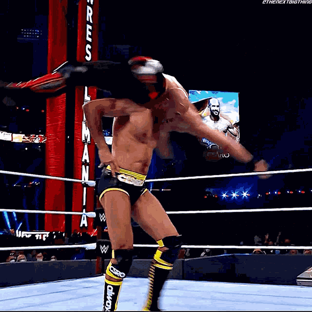 Cesaro Seth Rollins GIF GIF