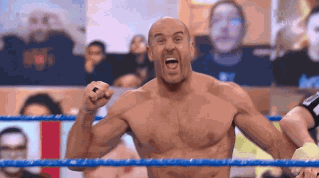 Cesaro Wwe GIF GIF