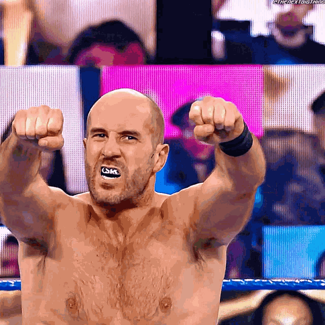 Cesaro Wwe GIF GIF
