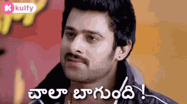 Chaala Bagundhi Prabhas GIF