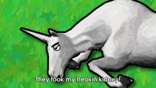 Charlie The Unicorn Clip GIF