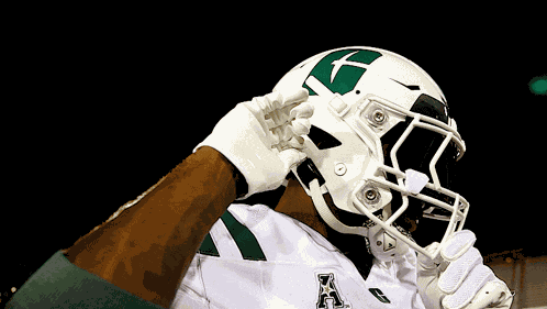 Charlotte Charlotte Football GIF