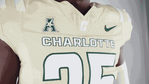 Charlotte Football Charlotte Gold Rush GIF