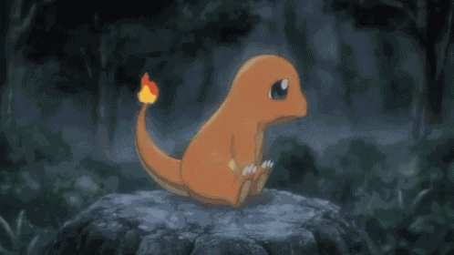 Charmander Ichooseyou GIF