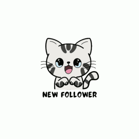 Chat GIF