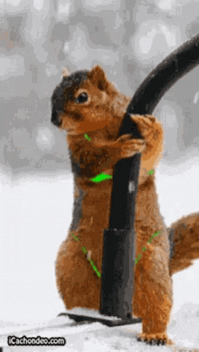 Check Me Out Look At This GIF