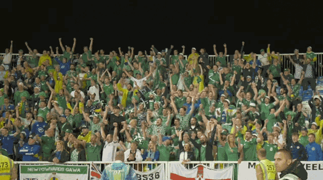 Cheering Northern Ireland GIF