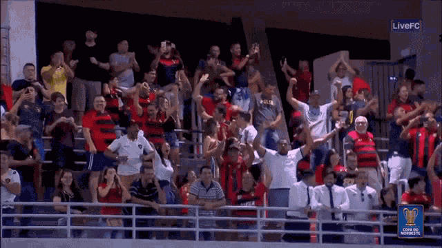 Cheering Woohoo GIF