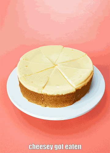 Cheesecake Cheesey GIF