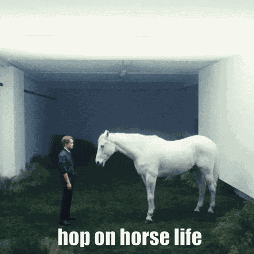 Chenle Horse Life GIF