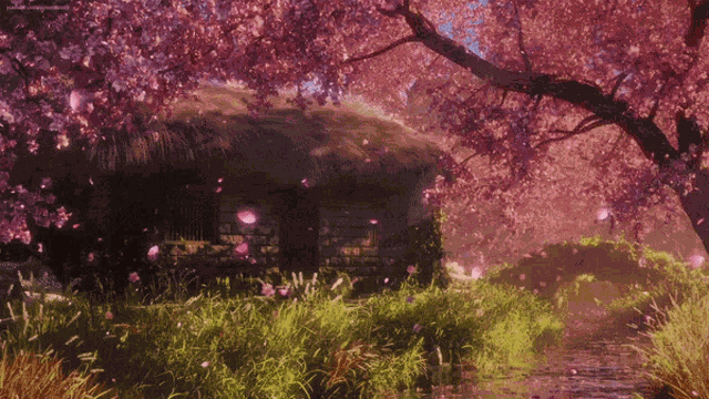 Cherry Blossom GIF