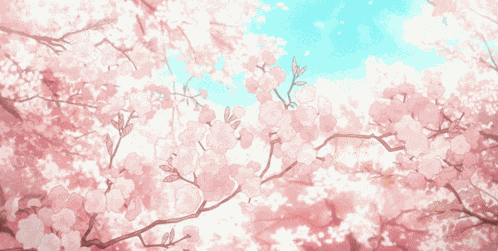 Cherry Blossom Sakura Tree GIF