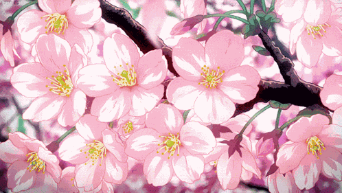 Cherry Blossom GIF