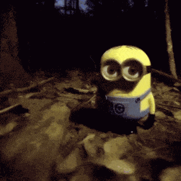 Chiara Y Violeta Minion Corazon GIF