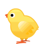 Chick Baby Chicken Sticker