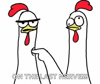 Chicken Chicken Bro GIF
