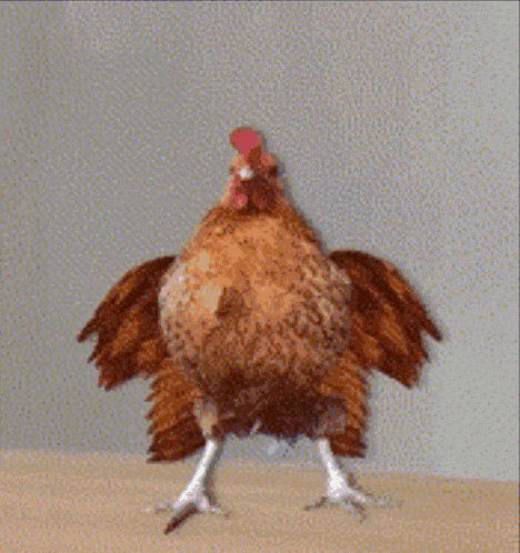 Chicken Dance GIF