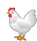 Chicken Hen Sticker