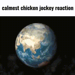 Chicken Minecraft GIF