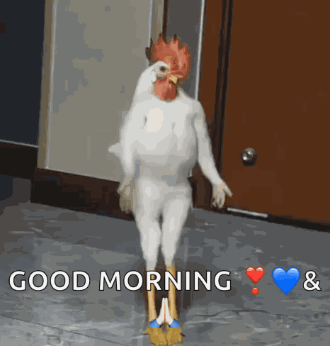 Chicken Werk Chicken Dance GIF