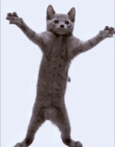 Chickensmoothie Trademark Cstm GIF