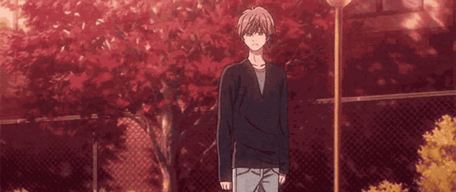 Chihayafuru Taichi Mashima GIF