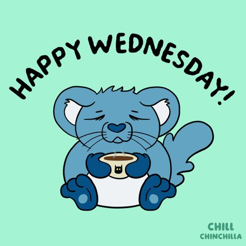 Chill Chinchilla GIF