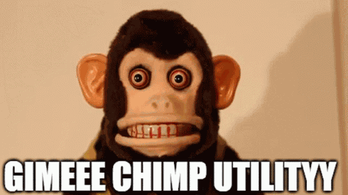 Chimp Chimps GIF