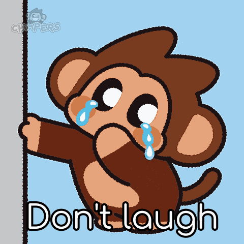 Chimpers Chimpi GIF