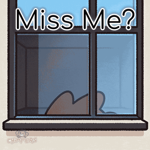 Chimpers Chimpi GIF