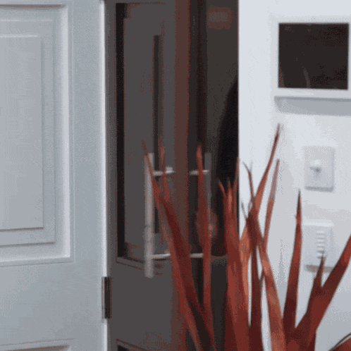 Chisola The Apprentice GIF