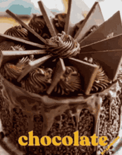 Choco Choco GIF