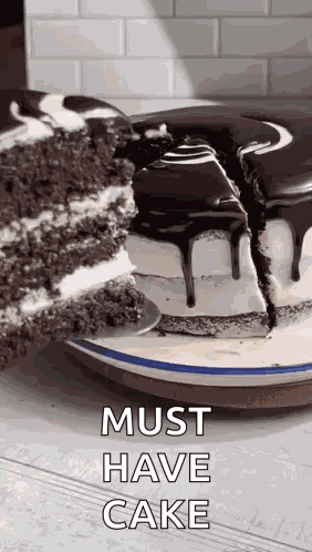 Chocolate Cake Dessert GIF