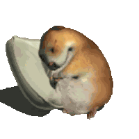 Chomik Chomikuj Sticker