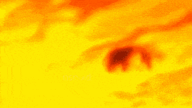 Choso Death Sukuna Vs Yuji GIF