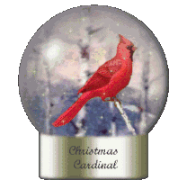 Christmas Cardinal Sticker