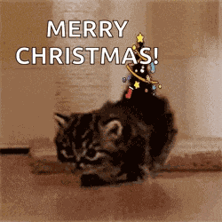 Christmas Cat Christmas Tree GIF