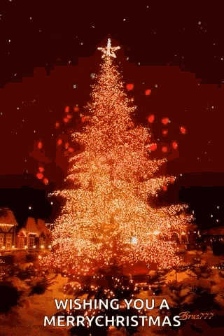 Christmas Cheer Christmas Tree GIF