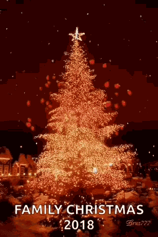 Christmas Cheer Christmas Tree GIF