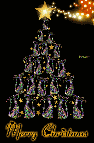 Christmas Christmas Tree GIF