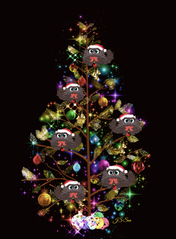 Christmas Gif Christmas Cats GIF
