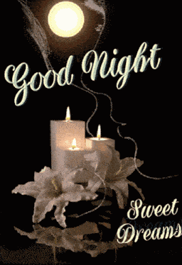 Christmas Good Night GIF