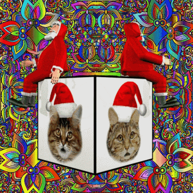 Christmas Kittens Christmas Kitty GIF