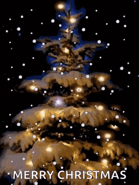Christmas Lights GIF