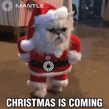 Christmas Merry Christmas GIF