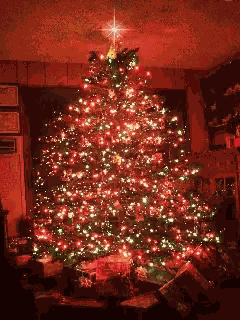 Christmas Morning Christmas Tree GIF