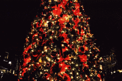Christmas Tree Christmas Lights GIF