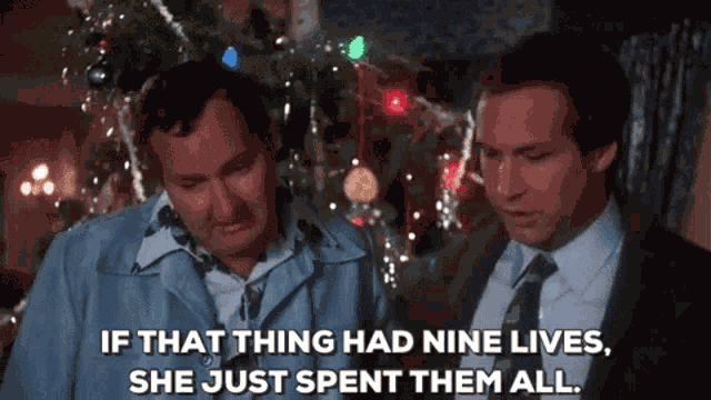 Christmas Vacation Nine Lives GIF