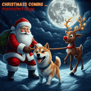 Christmas Xmass GIF