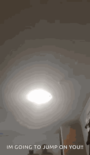 Chrizzy B Dive GIF